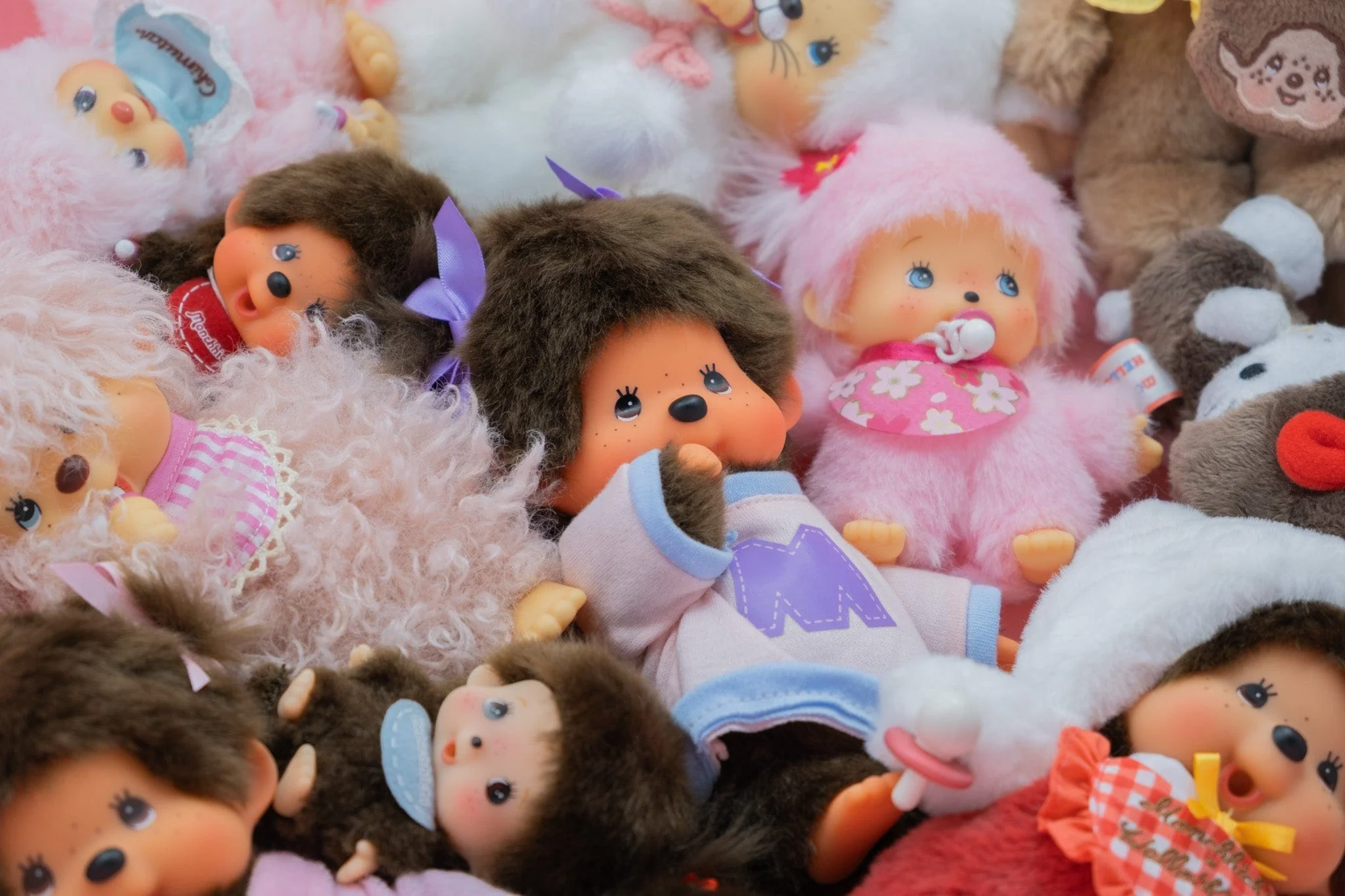 Your Daily Dose of Adorable